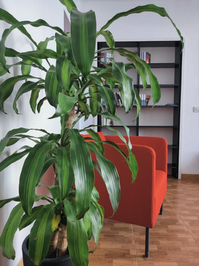 Apartament Casa Bonblet Bajamar  Zewnętrze zdjęcie